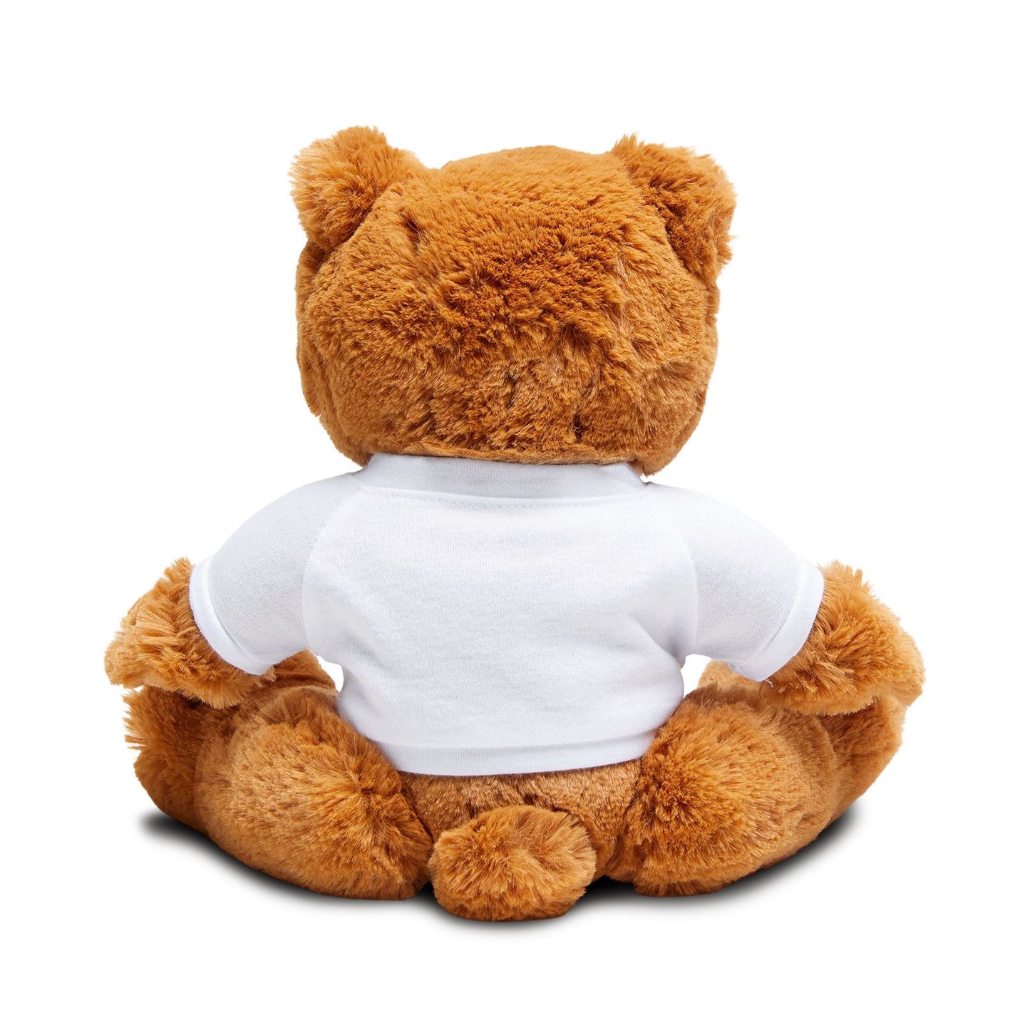 Teddy bear Plushy- Jesus is king